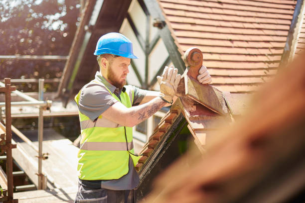Best Roof Gutter Cleaning  in Foothill Farms, CA